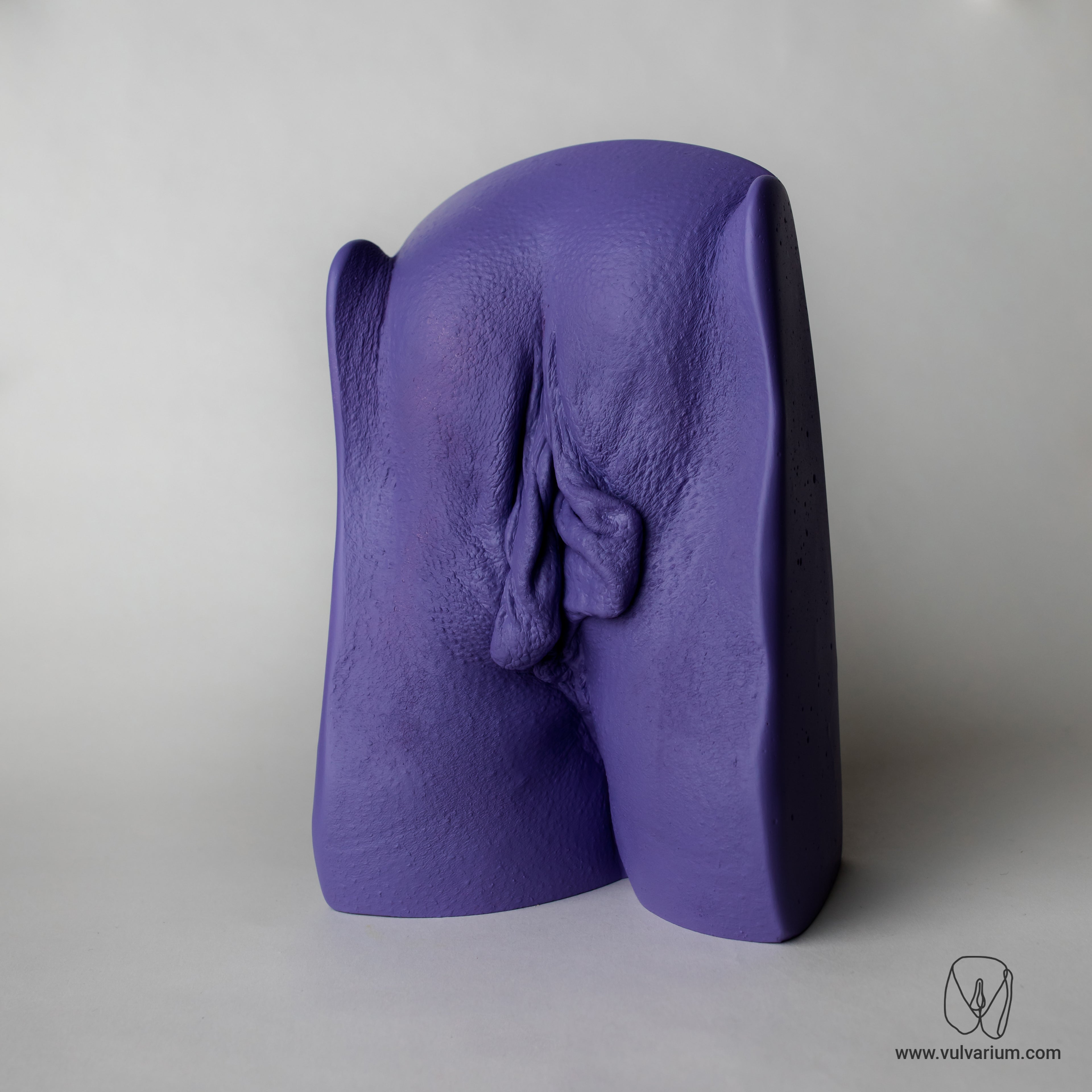 GRAZ, Austria - Vulva Casting Session