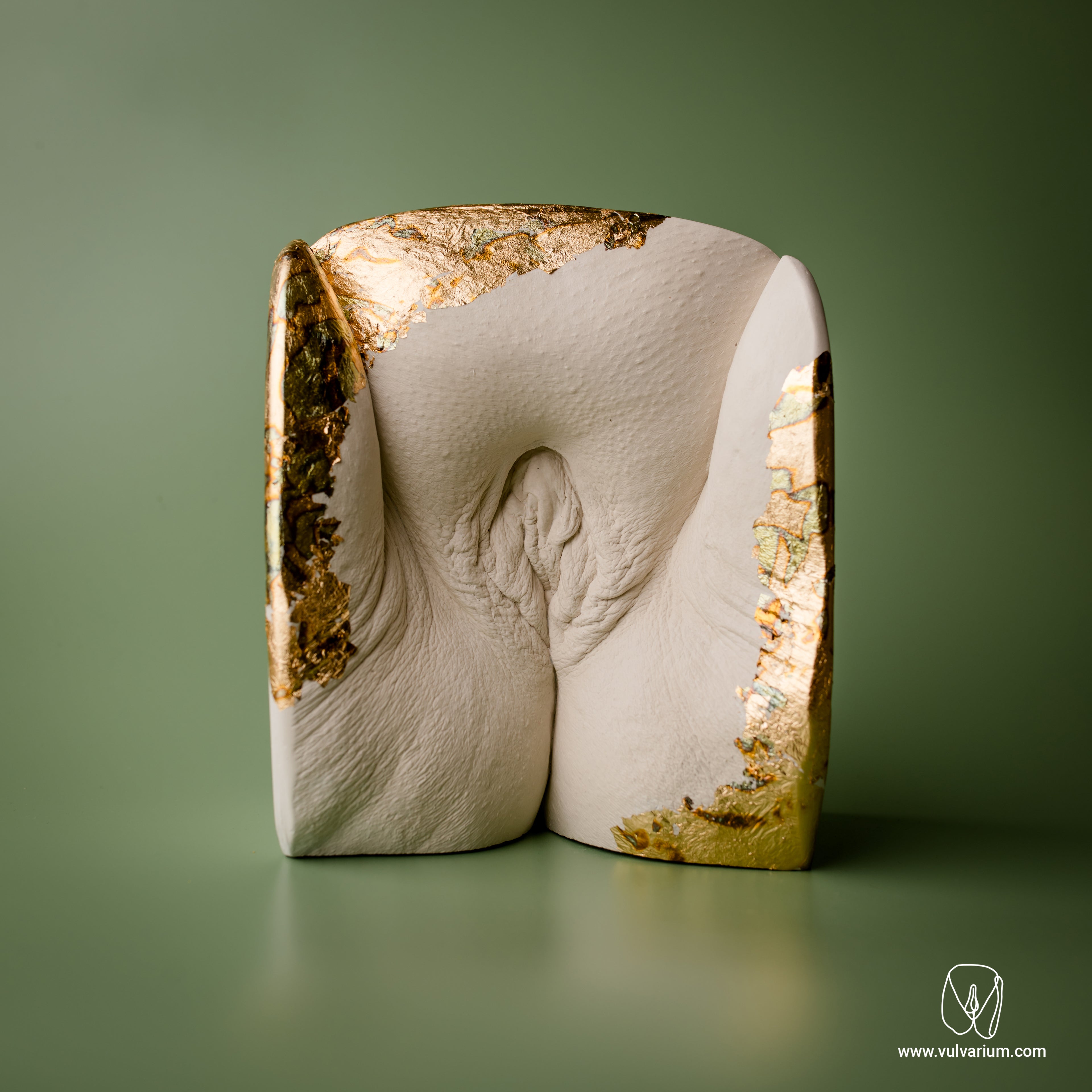 GRAZ, Austria - Vulva Casting Session