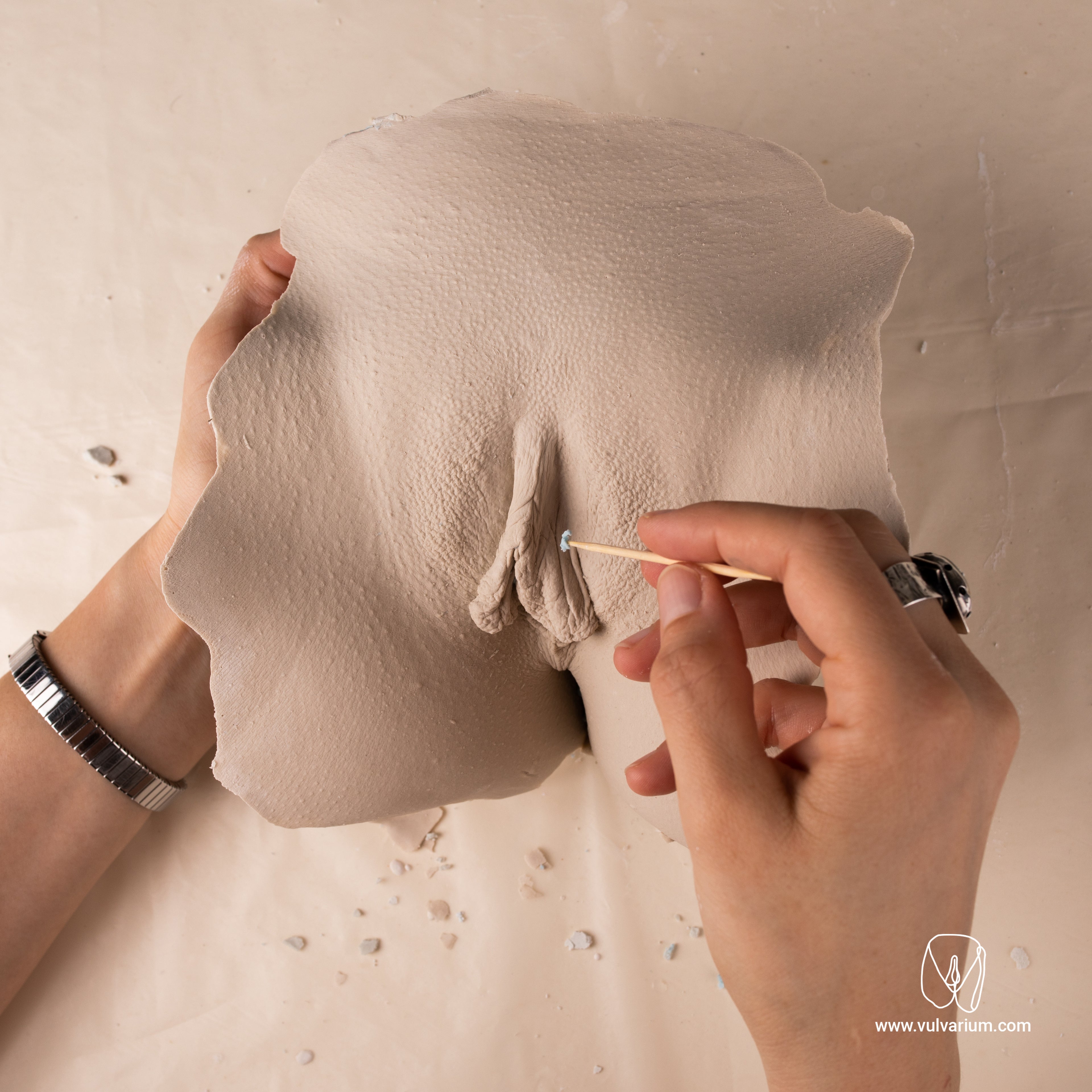 Vulva casting DIY kit