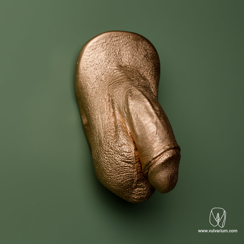 Penis Casting
