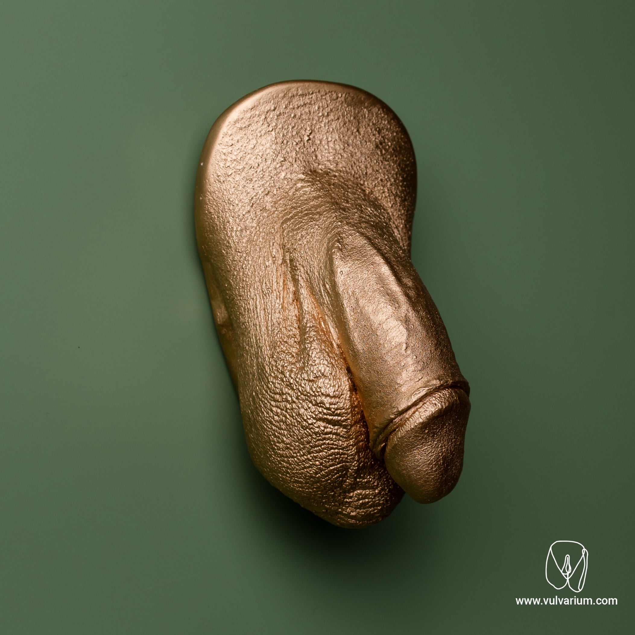 Penis Casting