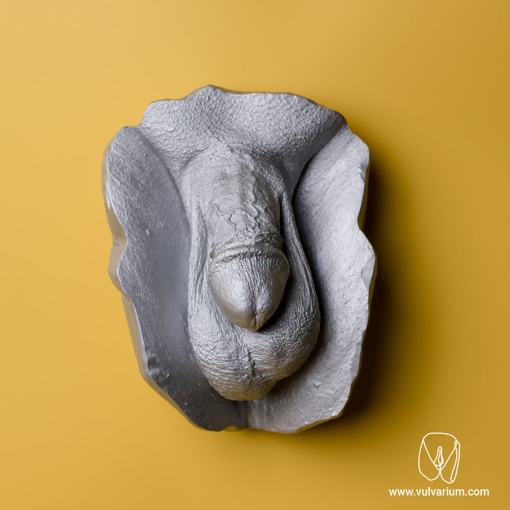 Penis Casting