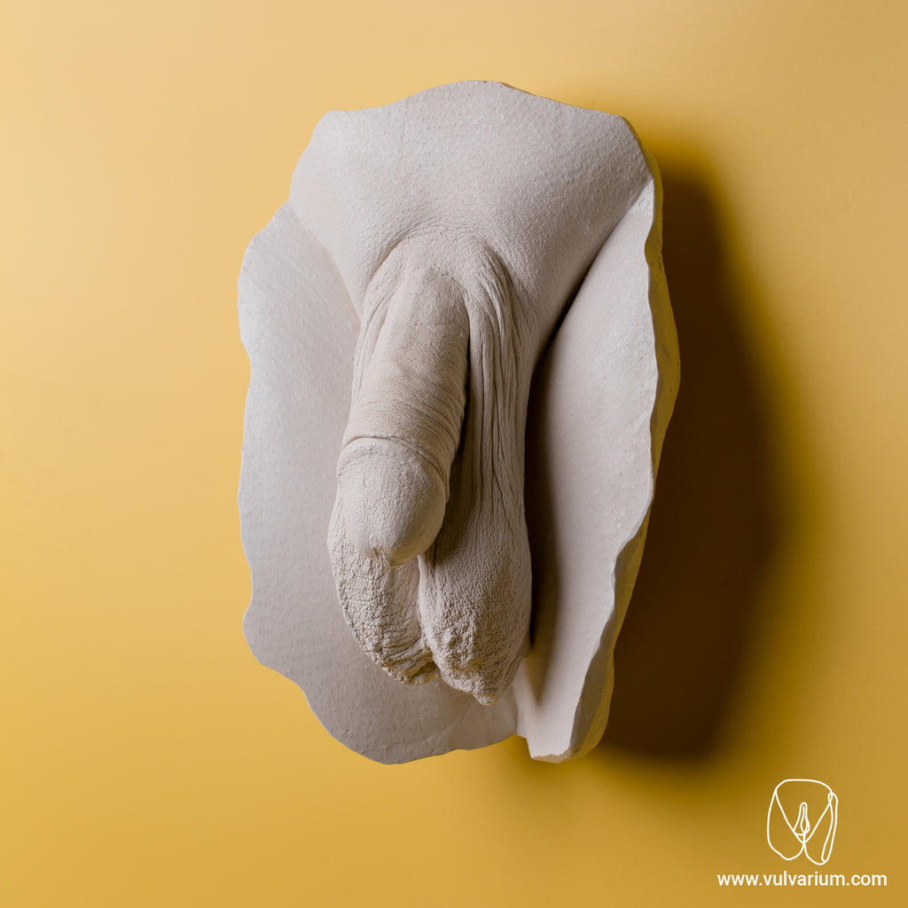 Penis Casting