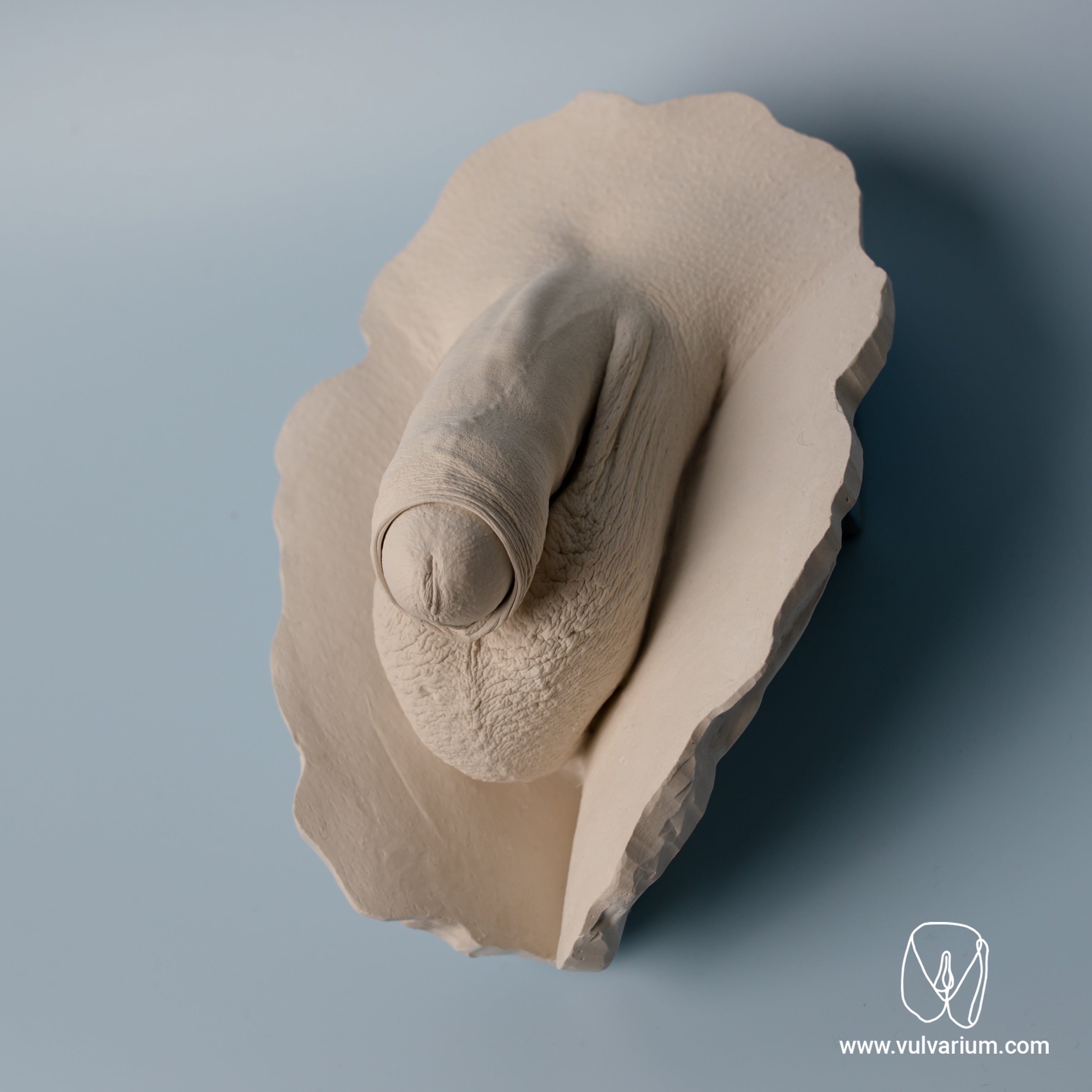 Penis Casting