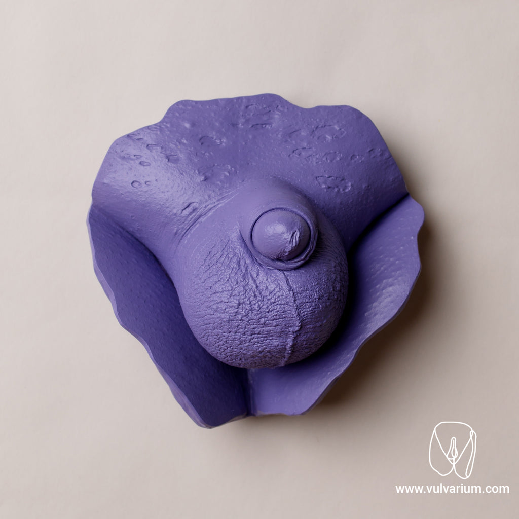 Penis Casting