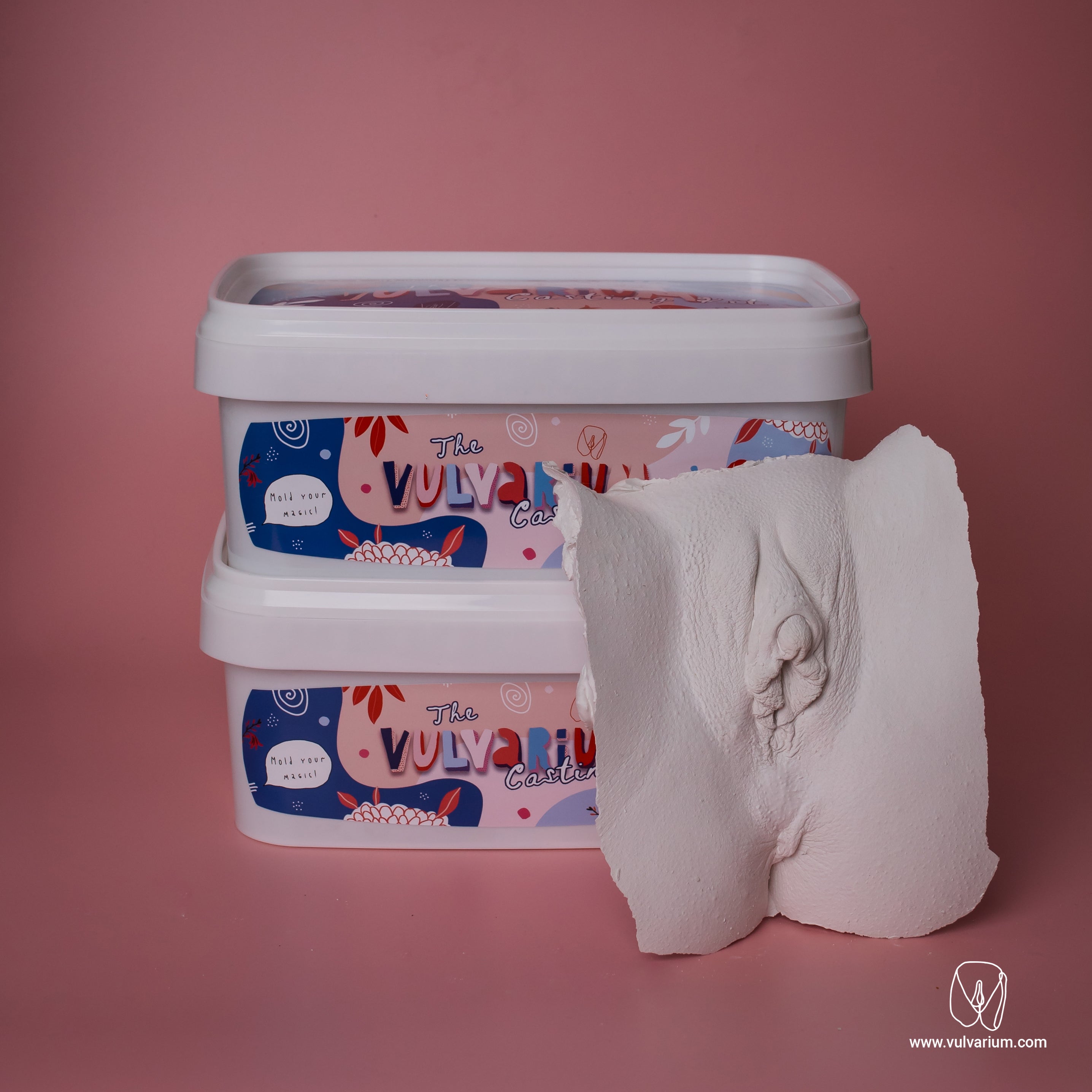 Vulva casting DIY kit