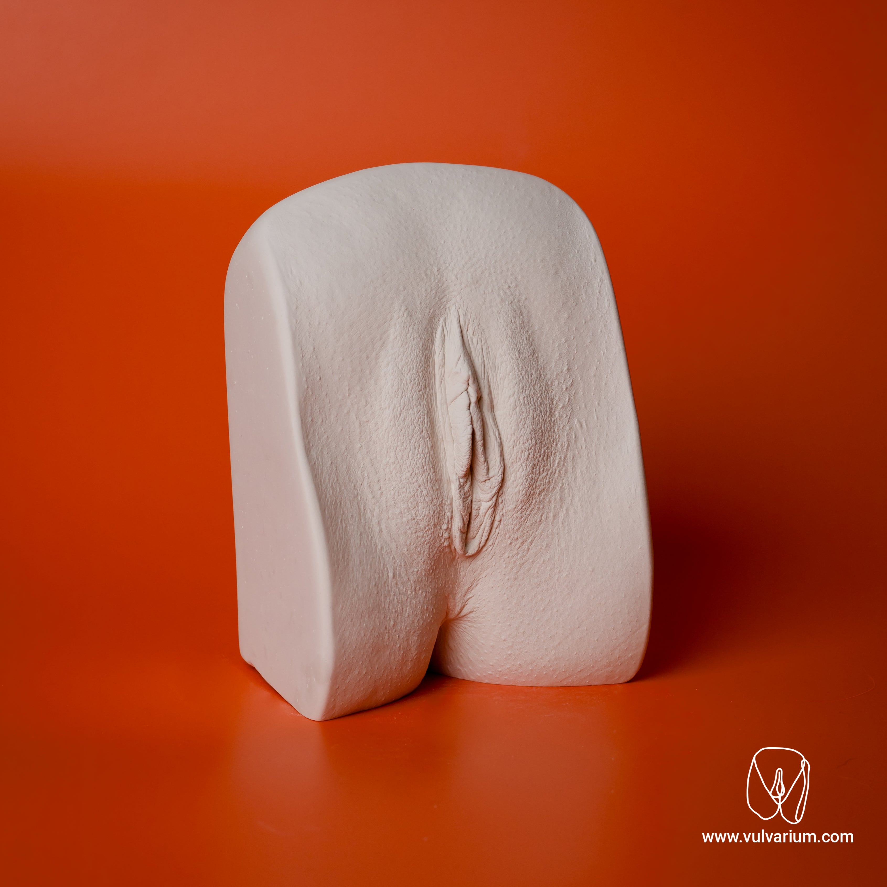 GRAZ, Austria - Vulva Casting Session