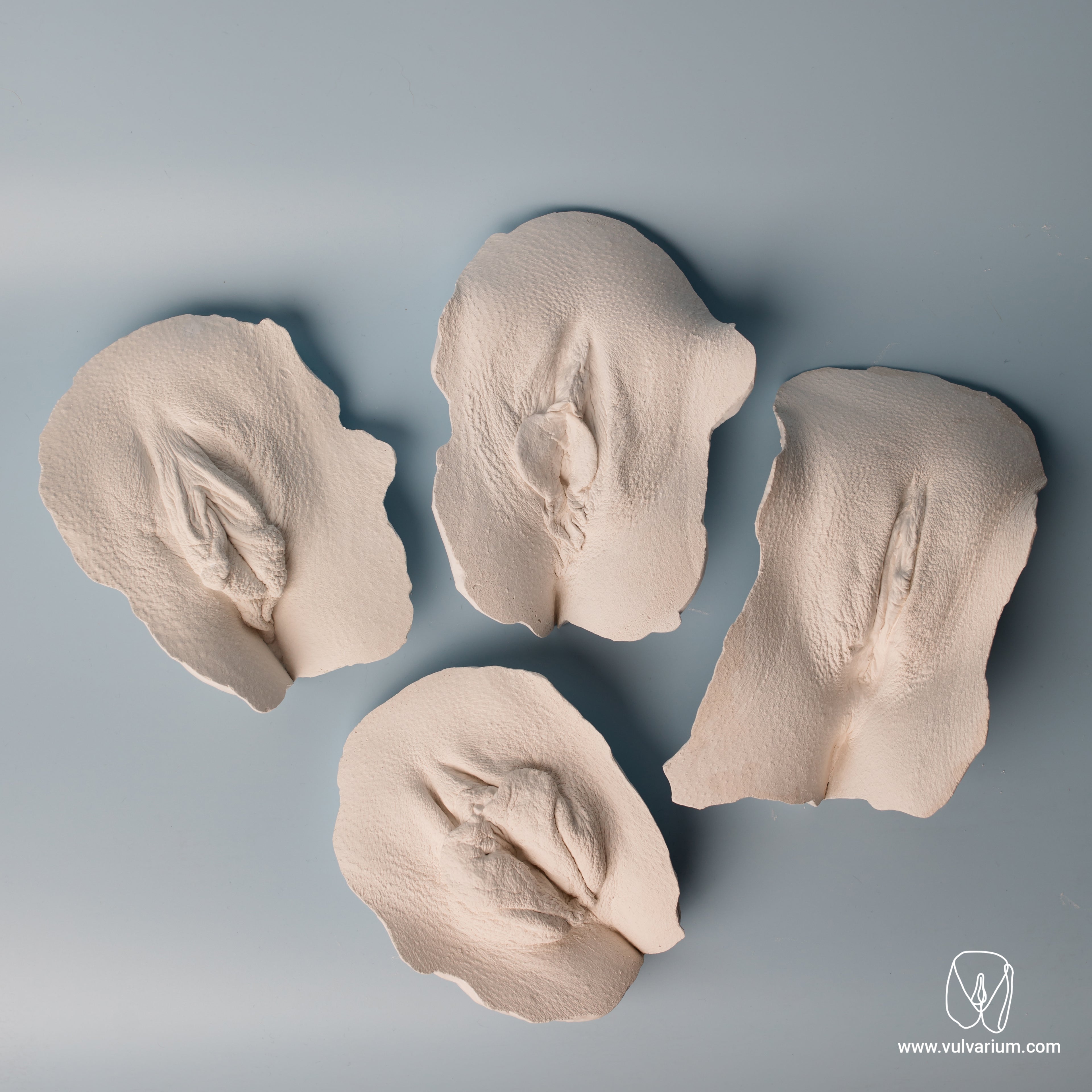 DIY Vulva Casting Workshop
